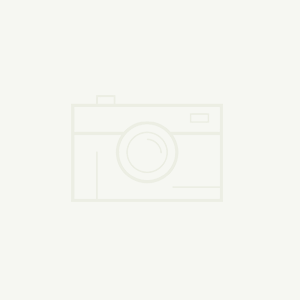 关于我们 | 东莞市志图包装制品有限公司：23年深耕，以专业包装赋能品牌价值
